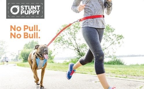 Do You Run With Your Partner Article Staticbloom Inc スタティックブルーム