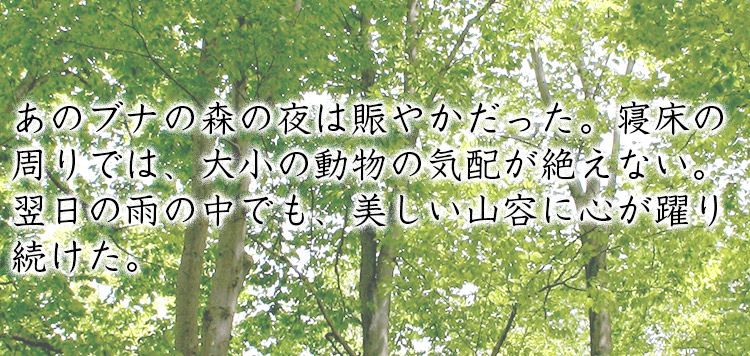 あのブナの森の夜は賑やかだった。寝床の周りでは、大小の動物の気配が絶えない。翌日の雨の中でも、美しい山容に心が躍り続けた。