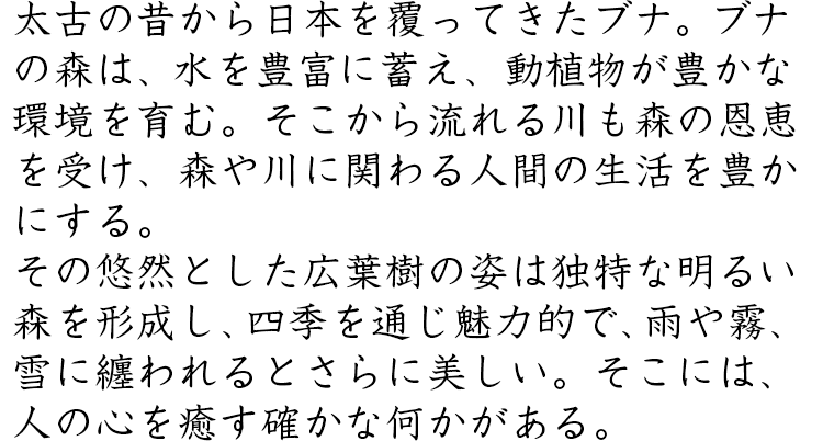 太古の昔から日本を覆ってきたブナ。ブナの森は、水を豊富に蓄え、動植物が豊かな環境を育む。そこから流れる川も森の恩恵を受け、森や川に関わる人間の生活を豊かにする。その悠然とした広葉樹の姿は独特な明るい森を形成し、四季を通じ魅力的で、雨や霧、雪に纏われるとさらに美しい。そこには、人の心を癒す確かな何かがある。